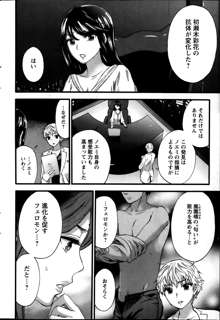 Zettai Harem ｃｈ.40-52+2, 日本語