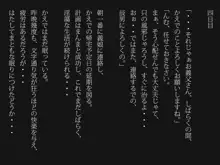 単身泊まりに来た孫娘を睡眠薬を飲ませて犯してしまった, 日本語