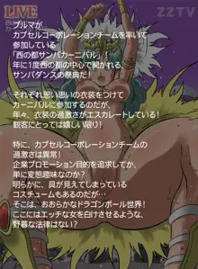 サンバdeドラゴンカーニバル, 日本語