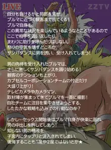 サンバdeドラゴンカーニバル, 日本語