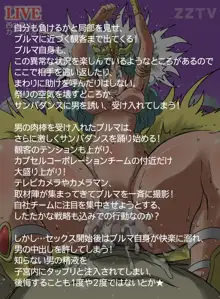 サンバdeドラゴンカーニバル, 日本語