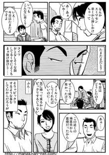 妻の火遊び, 日本語