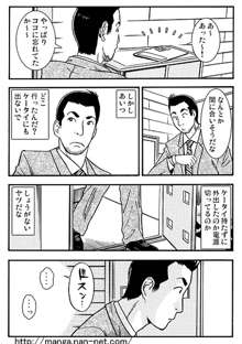 妻の火遊び, 日本語