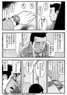 妻の火遊び, 日本語