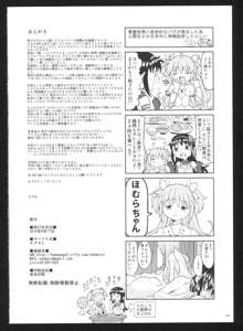 過酷少女絵録・惨, 日本語