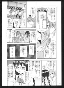 過酷少女絵録・惨, 日本語