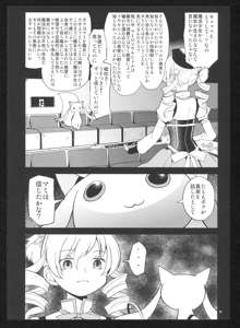 過酷少女絵録・惨, 日本語