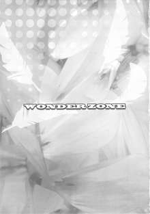 WONDER ZONE, 日本語