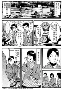 マドンナ泥棒, 日本語