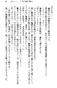 アスモデウス・オンライン -ファンタジー空間で兄は妹を孕ませる-, 日本語