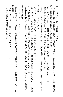 アスモデウス・オンライン -ファンタジー空間で兄は妹を孕ませる-, 日本語