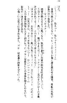 アスモデウス・オンライン -ファンタジー空間で兄は妹を孕ませる-, 日本語