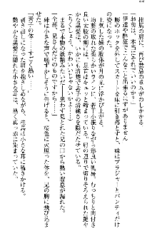 アスモデウス・オンライン -ファンタジー空間で兄は妹を孕ませる-, 日本語