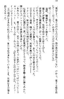 アスモデウス・オンライン -ファンタジー空間で兄は妹を孕ませる-, 日本語