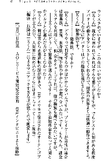 アスモデウス・オンライン -ファンタジー空間で兄は妹を孕ませる-, 日本語