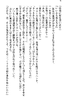 アスモデウス・オンライン -ファンタジー空間で兄は妹を孕ませる-, 日本語