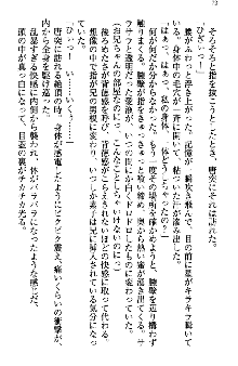 アスモデウス・オンライン -ファンタジー空間で兄は妹を孕ませる-, 日本語