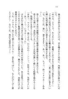 悪魔メイドはツンツンデレデレ！, 日本語