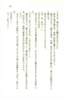 中二病だからハーレムしたい!： 同級生はみんな妄想系, 日本語