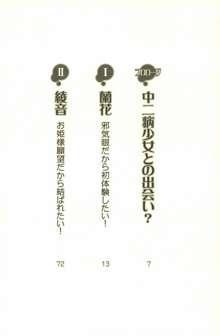 中二病だからハーレムしたい!： 同級生はみんな妄想系, 日本語