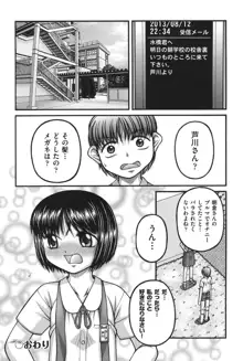 大人のおもちゃ, 日本語