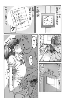 大人のおもちゃ, 日本語