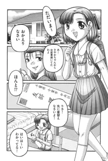 大人のおもちゃ, 日本語