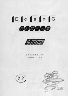 E can G vol.22, 日本語