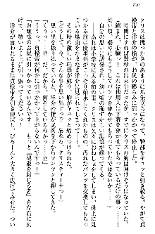 白銀のお嬢様と支配の聖衣, 日本語