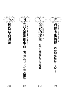 白銀のお嬢様と支配の聖衣, 日本語