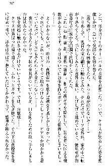 白銀のお嬢様と支配の聖衣, 日本語