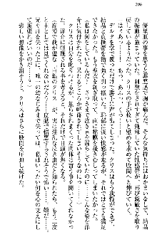 白銀のお嬢様と支配の聖衣, 日本語