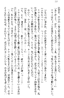 白銀のお嬢様と支配の聖衣, 日本語