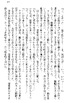 白銀のお嬢様と支配の聖衣, 日本語