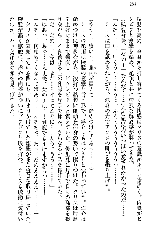 白銀のお嬢様と支配の聖衣, 日本語