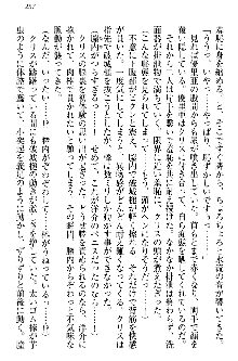 白銀のお嬢様と支配の聖衣, 日本語