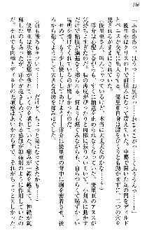 白銀のお嬢様と支配の聖衣, 日本語