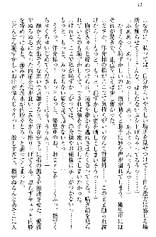 白銀のお嬢様と支配の聖衣, 日本語