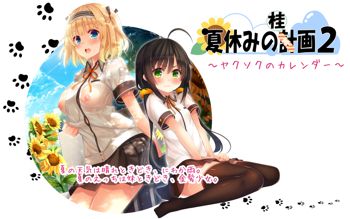 夏休みの桂画2～ヤクソクのカレンダー～, 日本語