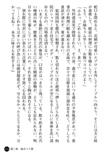 女医奈々子 ――白衣を穢す淫辱の罠――, 日本語