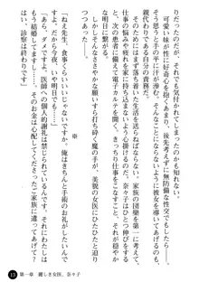 女医奈々子 ――白衣を穢す淫辱の罠――, 日本語