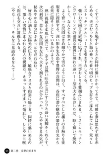 女医奈々子 ――白衣を穢す淫辱の罠――, 日本語