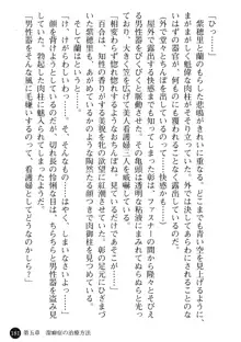 看護婦姉妹と令嬢実習生 魅惑の入院体験, 日本語