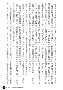 看護婦姉妹と令嬢実習生 魅惑の入院体験, 日本語