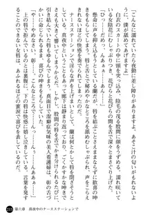 看護婦姉妹と令嬢実習生 魅惑の入院体験, 日本語