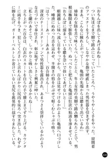 看護婦姉妹と令嬢実習生 魅惑の入院体験, 日本語