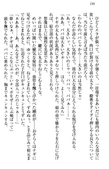 俺の聖剣をヌイてみろ！ 勇者と魔女と姉ウサギ, 日本語