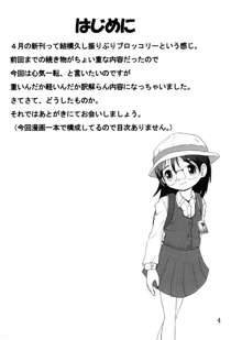 愛娘甘柑, 日本語