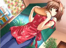 Lovers CG Pack 2, 日本語