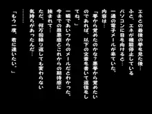 真夏の悪夢　～エネ編～, 日本語